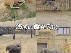 -郑州银基冰雪世界