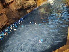 -中家鑫园温泉酒店鑫悦汤泉