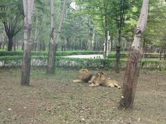 -秦皇岛野生动物园