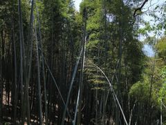 -西湖风景区十里琅珰-五云山