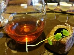 -蘑统田下·野生菌火锅