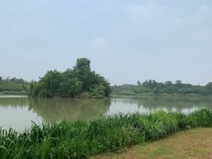 -白鹭湾湿地公园