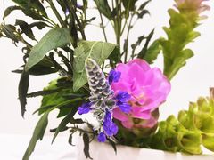 -今日陶艺(富力广场店)