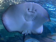 -太平洋海底世界