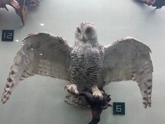 -国家自然博物馆