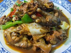 -巢湖名吃·徽府农家菜(半汤店)