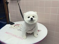 -FAELING PETS美天灵宠物(富力广场店)