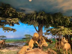 -国家自然博物馆