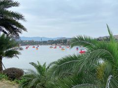-枫香湖儿童公园