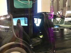 -TESLA 特斯拉(广州天环广场体验店)
