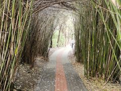 -广富林郊野公园