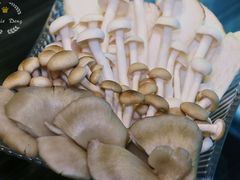 -东椰·海南椰子鸡火锅(朝阳门店)