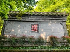 -青城山