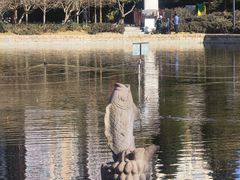 -团结湖公园
