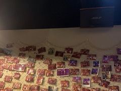 -Mr.Fox狐狸先生超级密室(南山店)