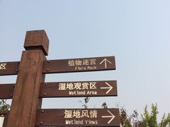 -武清南湖绿博园