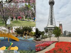 -文华公园(禅城区)