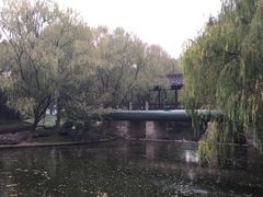 -阮氏酒家(柯桥店)