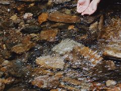 -素山寺森林公园