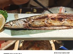 -越光米贩精致料理餐厅(金鹰店)