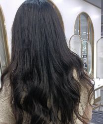 -YESIDO椰岛造型