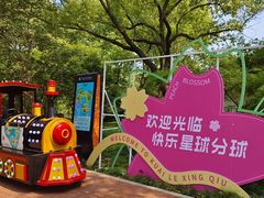 -金鸡湖桃花岛