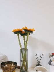 -美肤盾祛痘·问题肌头疗管理中心