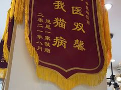 -芭比堂动物医院·心脏科·老年急重症·夜诊·吉雅分院