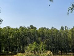 -东郊湿地公园