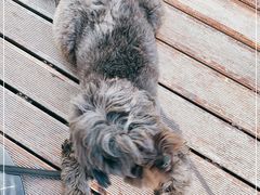 -一尺花园(安和花园店)