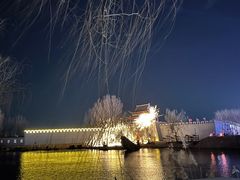 -淄博花灯齐彩城