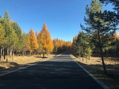 -塞罕坝国家级自然保护区