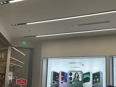 -小米之家汽车(永旺梦乐城店)