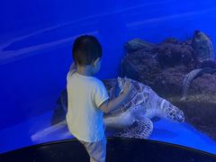 -成都浩海立方海洋公园