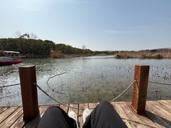 -同里国家湿地公园