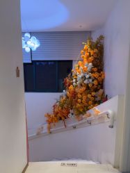 -WENDY·温迪皮肤管理