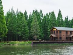 -黄海国家森林公园