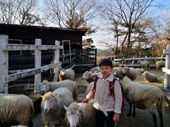 -神户市立六甲山牧场