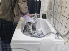 -猫力发电所·宠物专门店
