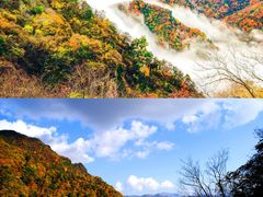 -光雾山旅游景区