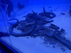 -吉林省自然博物馆