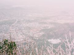 -香山公园
