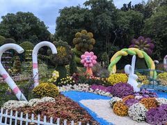 -上海共青森林公园