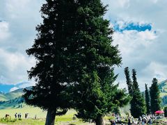 -新疆那拉提国家旅游度假区