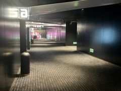 -奥斯卡升龙国际影城(RealD Cinema)