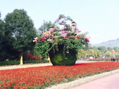 -东南花都花博园
