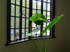 靠窗位-福1039(愚园路店)