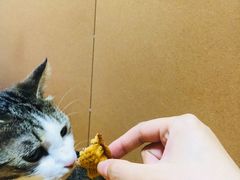 -粉粉乐鲷鱼烧(美罗城店)