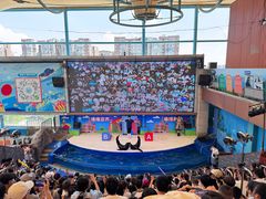 -成都浩海立方海洋公园