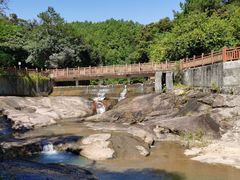 -广州白江湖森林公园